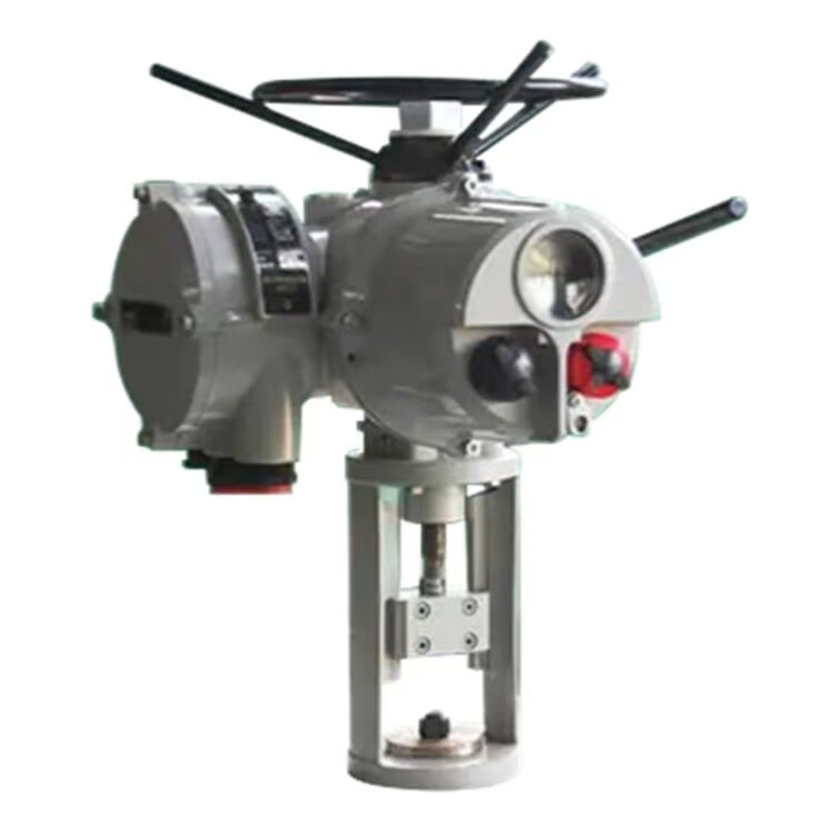 罗托克电动执行器的设定